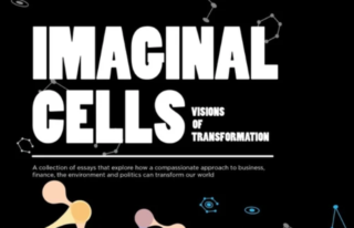 Imaginal Cells: Visions of Transformation