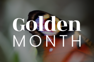 Golden Month Campaign