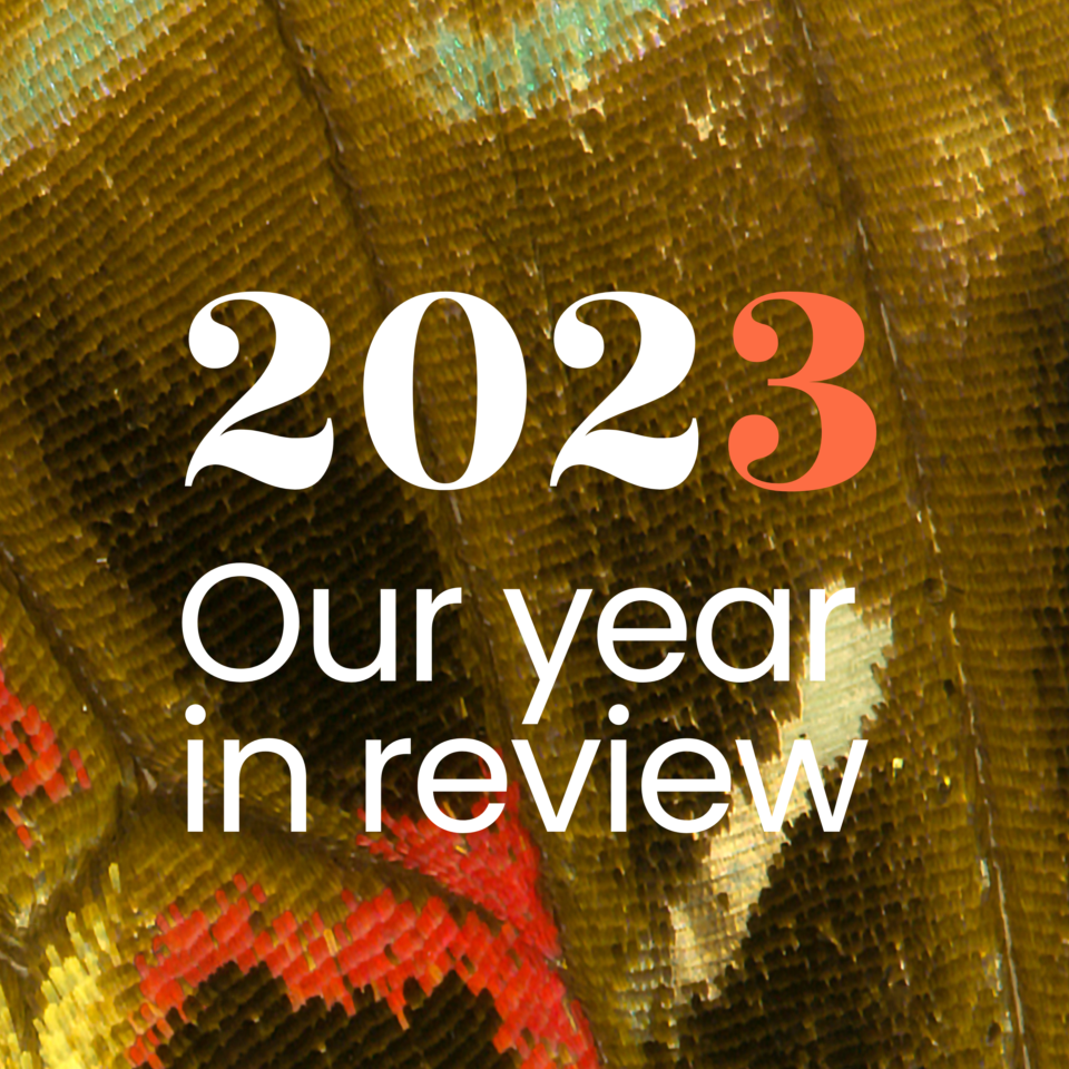 Reboot's 2023 Annual Report › News › Reboot the Future